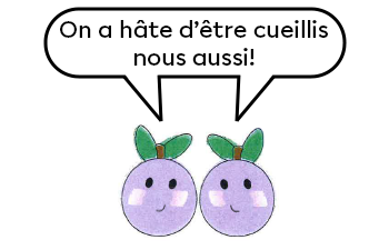 E pinakwepitcikaniwok