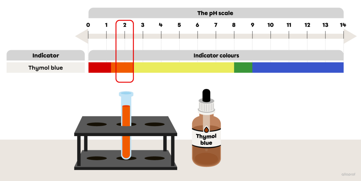 Thymol blue turns orange in lemon juice.