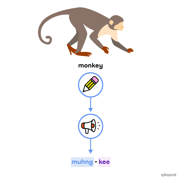 The word “monkey” pointing to the sounds “muhng” and “kee,” themselves pointing to the picture of a monkey.
