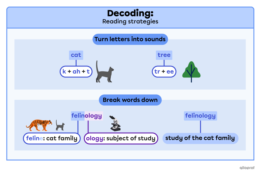 Summary of the decoding reading strategy. When decoding, turn letter combinations into sounds and break down long words into smaller, more familiar ones when needed.
