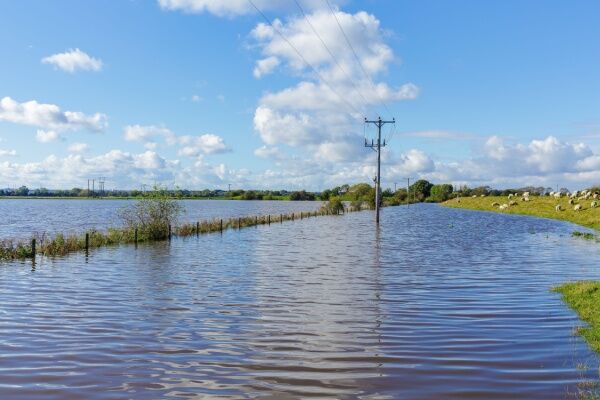Une inondation de champs agricoles au Royaume-Uni.