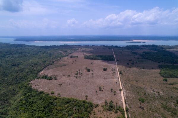 La déforestation dans la forêt amazonienne au Brésil.