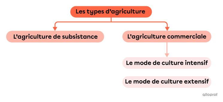 Les types d’agriculture et les modes de culture.