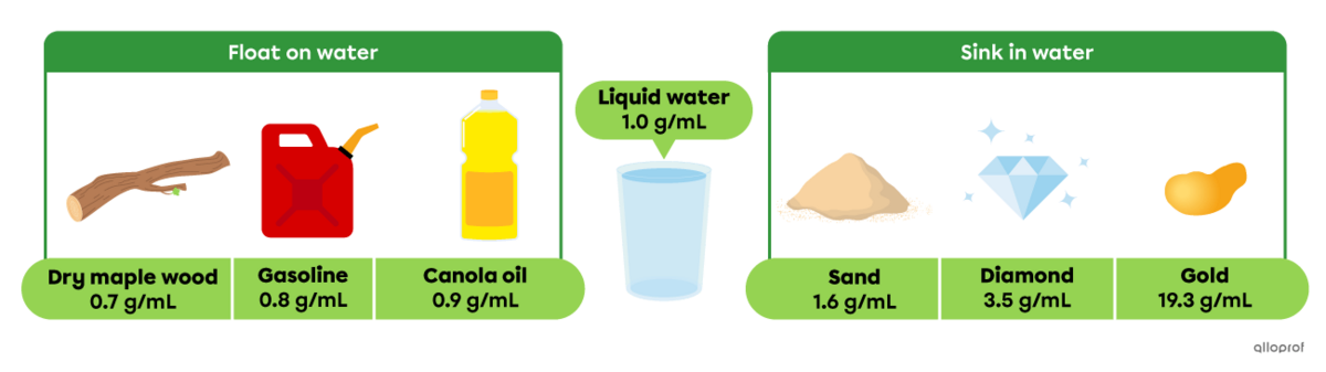 Dry maple wood, gasoline and canola oil float on water, since they all have a lower density than water (1.0 g/mL).  Sand, diamonds and gold sink, since they all have a greater density than water.