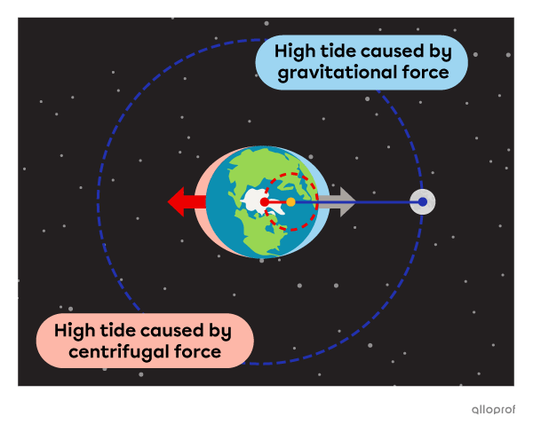 The orbits of the Earth and Moon are represented by dotted ellipses. The barycentre is indicated by a yellow dot located at the shared centre of the two ellipses. A high tide caused by the Moon’s gravitational pull is shown on the side of the Earth facing the Moon. A high tide caused by centrifugal force is shown on the side of the Earth opposite the Moon.