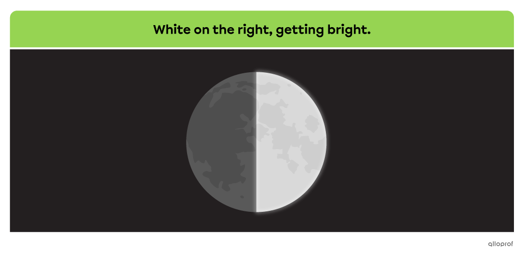 During the first quarter, only the right side of the Moon is illuminated. To remember, you can say “white on the right, getting bright.”