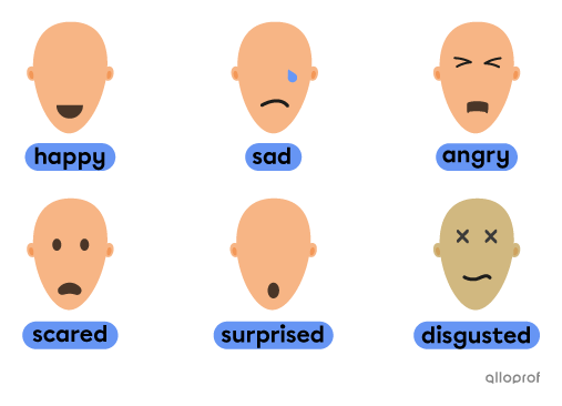 Faces showing the emotions of happiness, sadness, anger, fright, surprise and disgust.