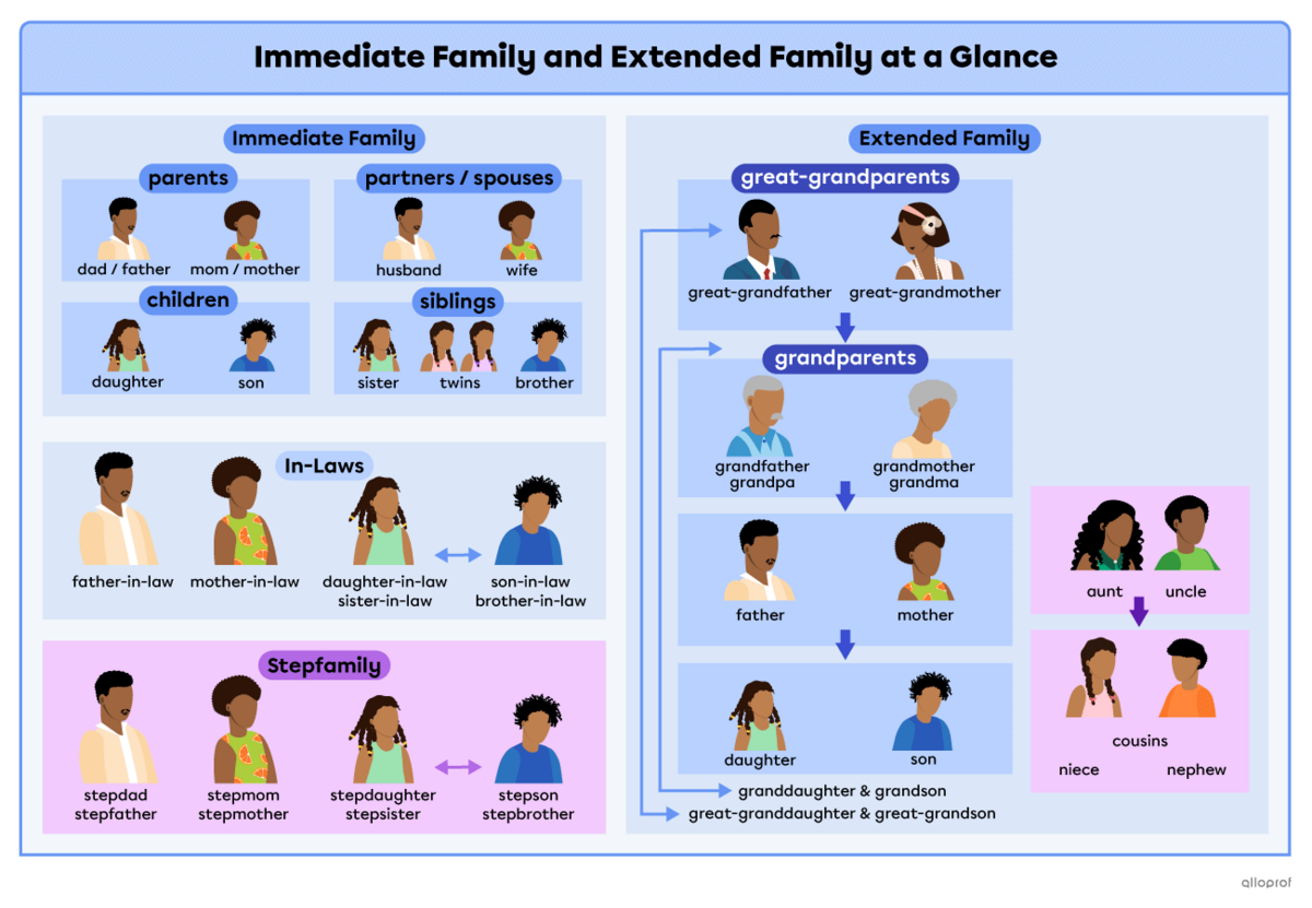  Summary of family vocabulary.