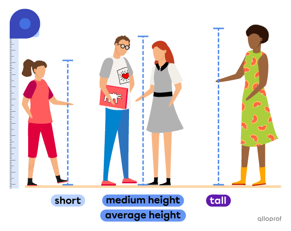 A comparison of 4 characters’ height. One is short, 2 are of average height and one is tall.