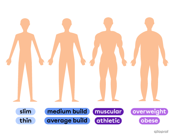 A comparison of 4 characters’ body build. One is of average build, one is slim, one is muscular and one is overweight.