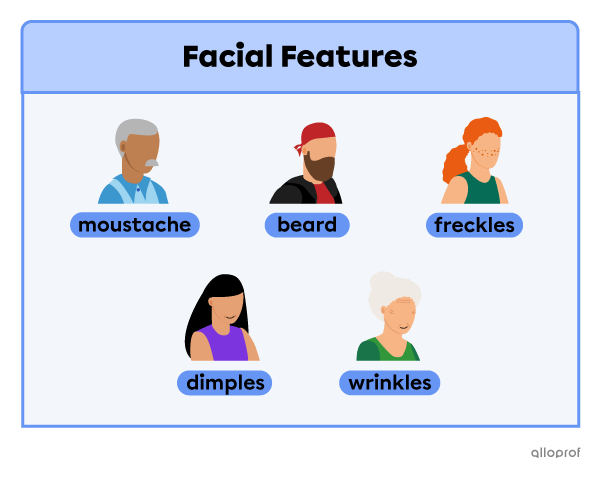 A comparison of 5 characters’ facial features. There is someone with a moustache, a beard, freckles, dimples and wrinkles.