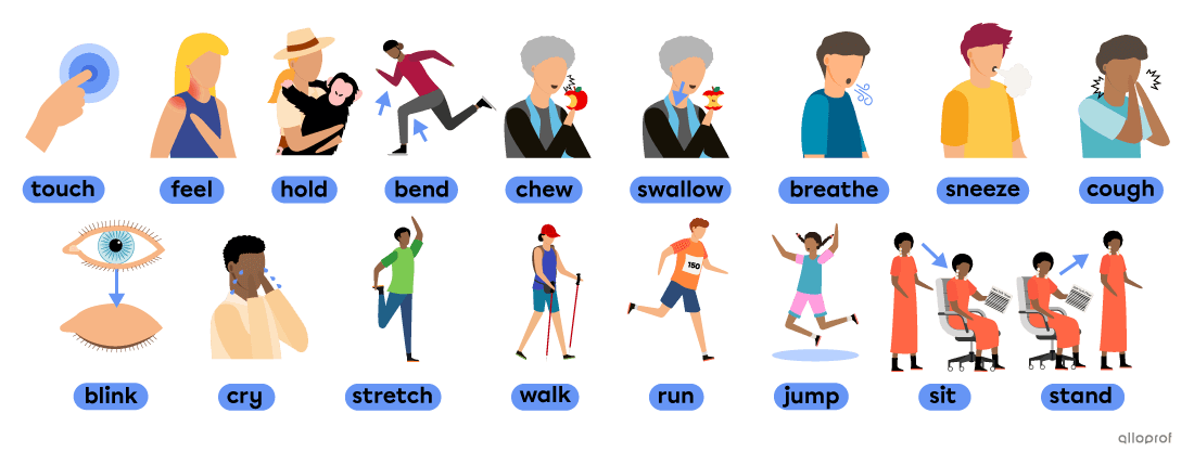 Characters doing actions related to moving body parts: touch, feel, hold, bend, chew, swallow, breathe, sneeze, cough, blink, cry, stretch, walk, run, jump, sit and stand.