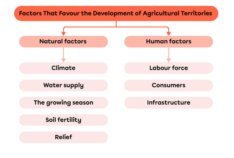 Diagram of factors that favour the development of agricultural land.
