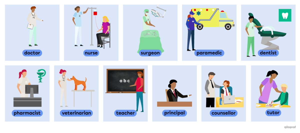 Vocabulary list of people working in health care and at schools that includes: a doctor, a nurse, a surgeon, a paramedic, a dentist, a pharmacist, a veterinarian, a teacher, a principal, a counsellor and a tutor.