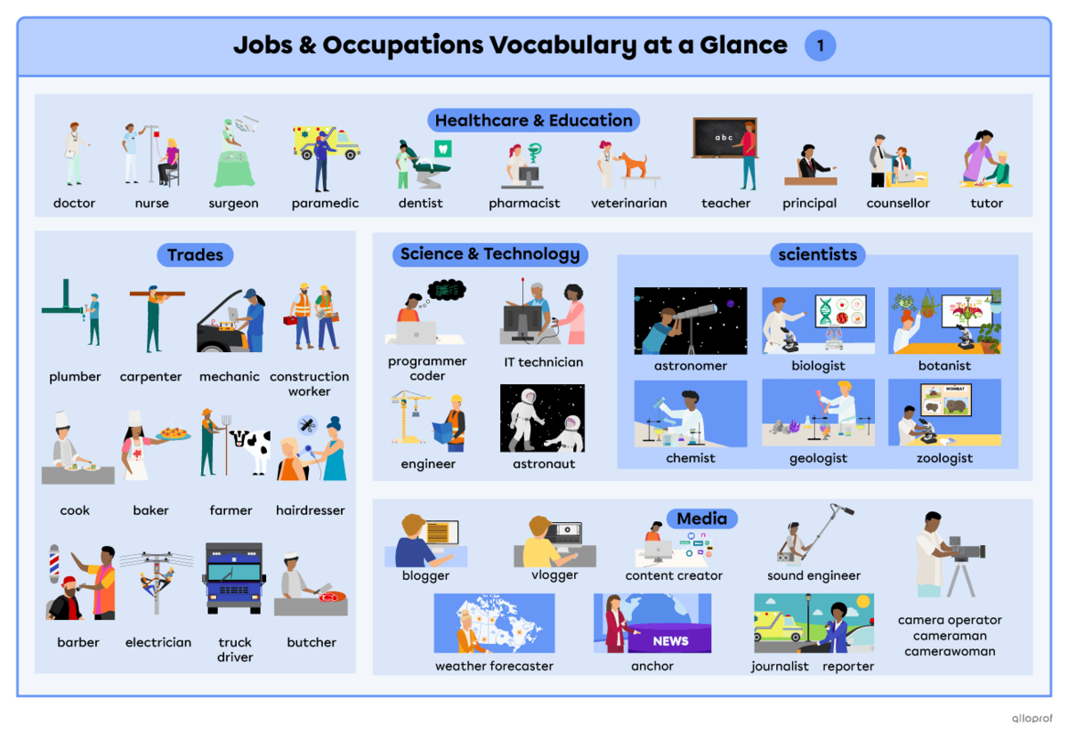 Summary of the  vocabulary lists on 2 pages. Page 1 is healthcare and education jobs: doctor, nurse, surgeon, paramedic, dentist, pharmacist, veterinarian, teacher, principal, counsellor and tutor; trade jobs: electrician, plumber, carpenter, mechanic, truck driver, construction worker, cook, baker, butcher, farmer, hairdresser and barber; science and technology jobs: programmer, coder, IT technician, engineer, astronaut and scientists, such as astronomer, biologist, botanist, chemist, geologist and zoologi