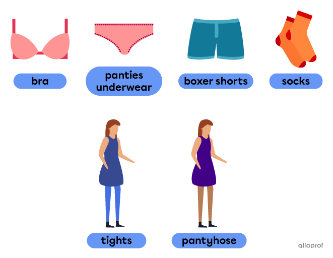 Vocabulary for underwear: bra, panties (underwear), boxer shorts, socks, tights and pantyhose.