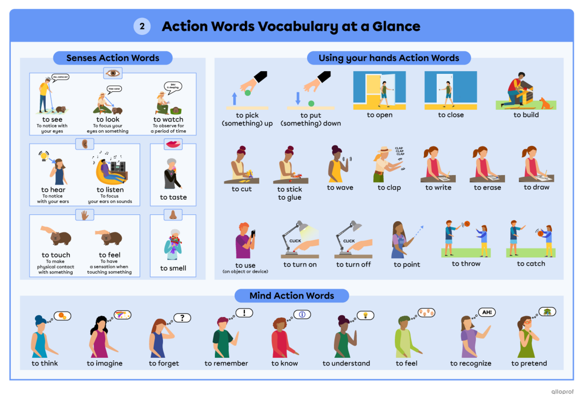 Summary of action words on 2 pages. Page 2, Section 1 presents actions related to the senses: to see, to look, to watch, to hear, to listen, to taste, to touch, to feel and to smell. Section 2 presents actions related to the mind: to see, to look, to watch, to hear, to listen, to taste, to touch, to feel and to smell. Section 3 presents actions related to using your hands: to pick (something) up, to put (something) down, to open, to close, to use (an object or device), to turn on, to turn off, to wave, to c