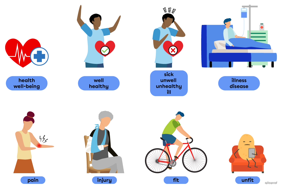 Pictures illustrating vocabulary words on the theme of health. Health and well-being (healthy heart showing a heart rate signal); well and healthy (energetic person); sick, unwell, unhealthy and ill (person looking sick); illness and disease (person in the hospital); pain (person holding her shoulder, saying “ouch”); injury (person with an arm in a cast); fit (person cycling) and unfit (a couch potato).