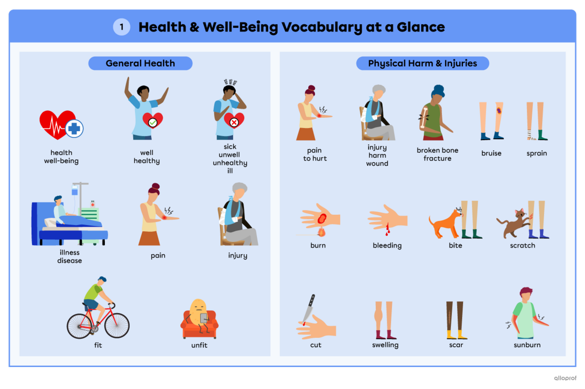 Summary of the health and well-being vocabulary words on 2 pages. Page 1, section 1: Pictures illustrating vocabulary words on the theme of health. Health and well-being (healthy heart showing a heart rate signal); well and healthy (energetic person); sick, unwell, unhealthy and ill (person looking sick); illness and disease (person in the hospital); pain (person holding her shoulder, saying “ouch”); injury (person with an arm in a cast); fit (person cycling) and unfit (a couch potato). Page 1, section 2: P