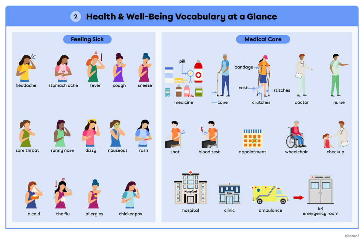 Summary of the health and well-being vocabulary words on 2 pages. Page 2 section 1: Pictures illustrating vocabulary words for feeling sick. Headache (person holding her head), stomach ache (person holding her stomach), fever (heatwaves coming from a person’s head), cough (person coughing), sneeze (person sneezing), sore throat (person holding her throat), runny nose (person with a dripping nose), rash (person with red blotches on their arm), dizzy (person with stars spinning around their head), nauseous (p