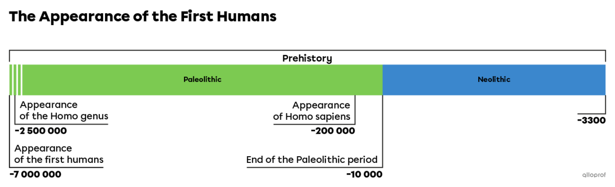 Timeline - The appearance of the first humans.