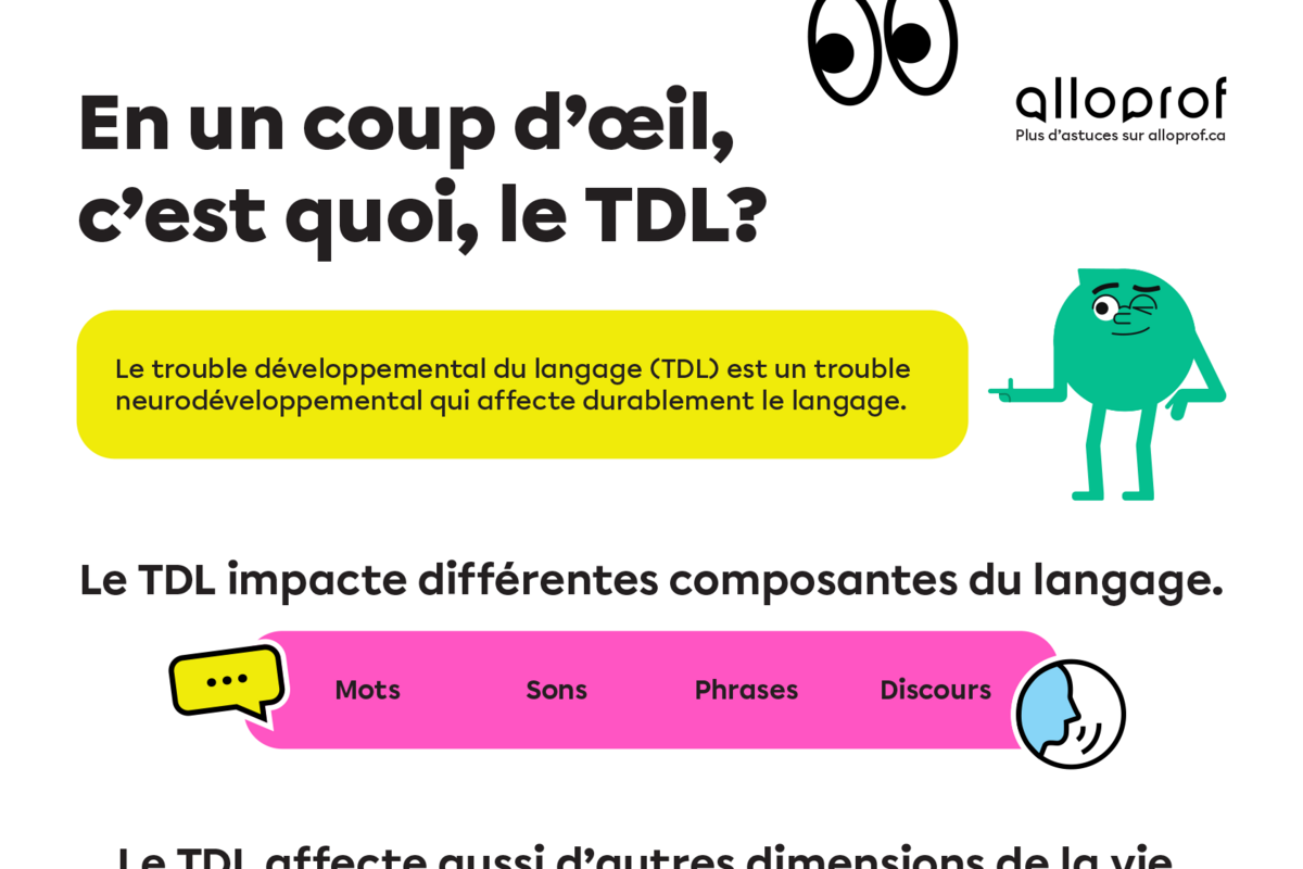 Un aperçu de l'outil. 