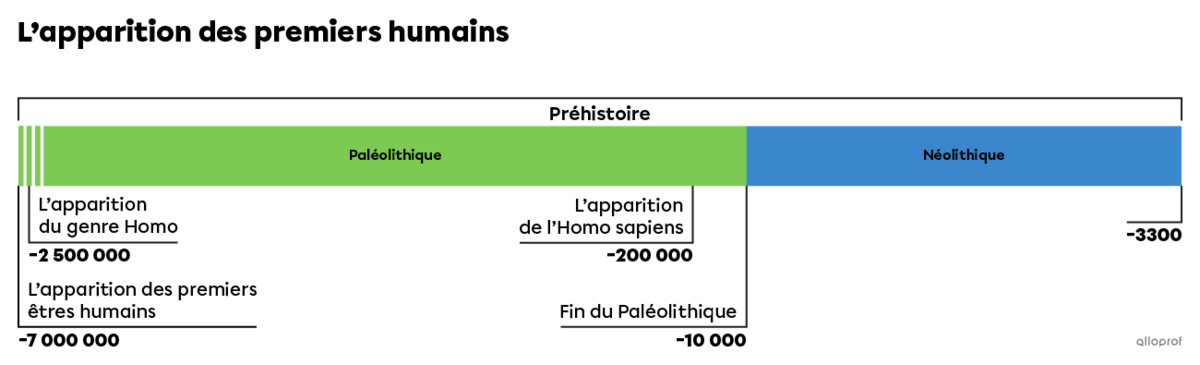 Ligne du temps - L’apparition des premiers humains.