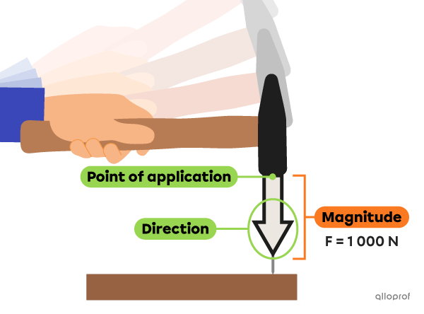 Diagram of the force applied by a hammer when it comes into contact with a nail.