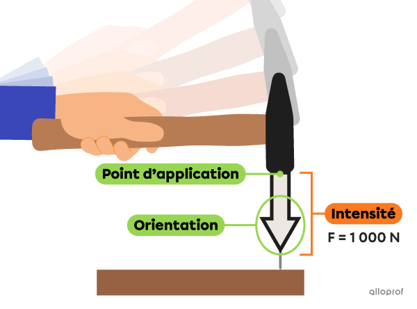 Schéma de la force appliquée par un marteau au moment où il entre en contact avec un clou.