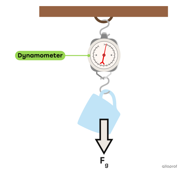 An image of a dynamometer with a coffee cup hanging from it. The gravitational force applied by the Earth on the cup is represented by a downward-pointing arrow.