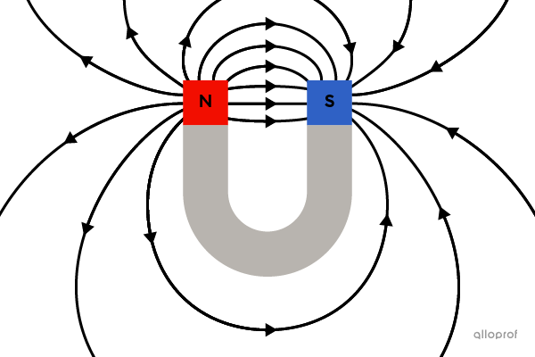 Outside the U-shaped magnet, the magnetic field lines run from the north pole to the south pole.