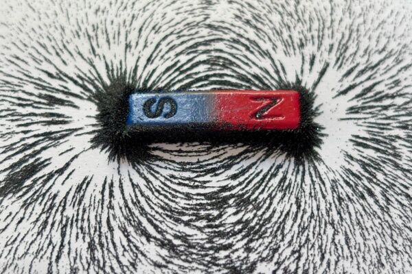 Around a bar magnet, iron filings take the shape of magnetic field lines.