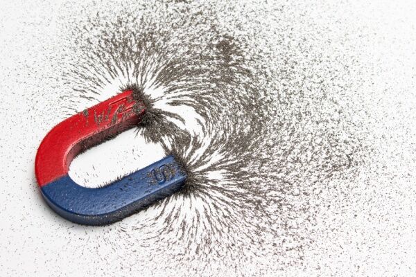 Around a U-shaped magnet, iron filings take the shape of magnetic field lines.