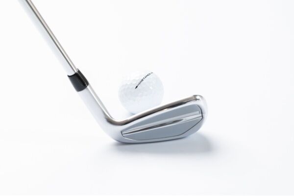 Image of a golf club head.