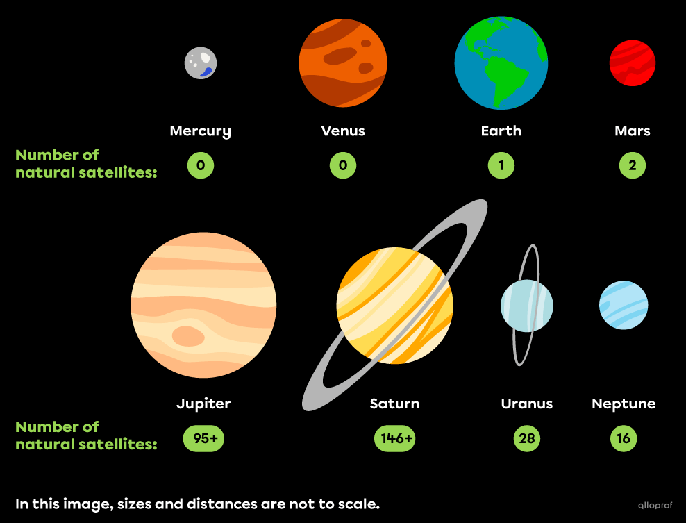 Mercury and Venus have no natural satellites. Earth has one natural satellite, while Mars has two. The gas giant Jupiter has over 95 natural satellites orbiting it, while Saturn has over 146. Uranus has 28 natural satellites, and Neptune has 16.