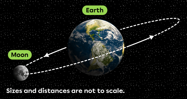 The Moon orbits around the Earth.