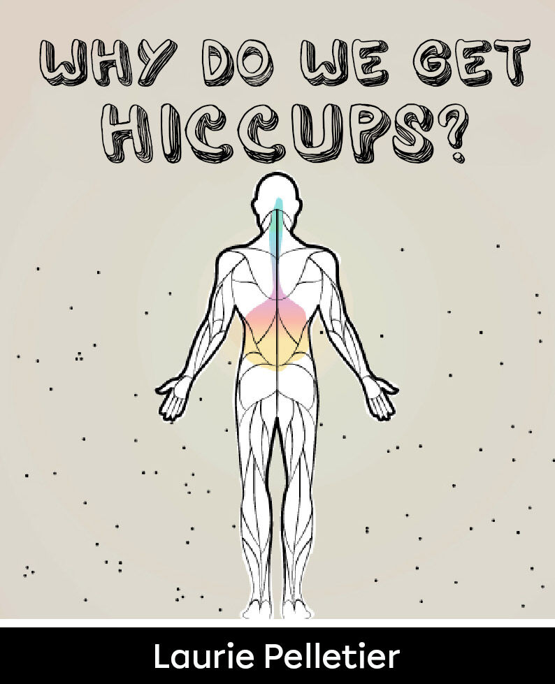 Why Do We Get Hiccups? cover page.