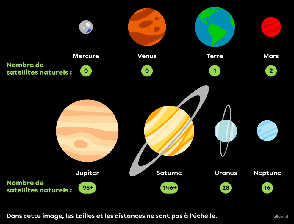 Mercure et Vénus n’ont aucun satellite naturel. La Terre a un satellite naturel, tandis que Mars en a 2. La géante gazeuse Jupiter a plus de 95 satellites naturels en orbite autour d’elle, tandis que Saturne en a plus de 146. Uranus a 28 satellites naturels et Neptune, 16.