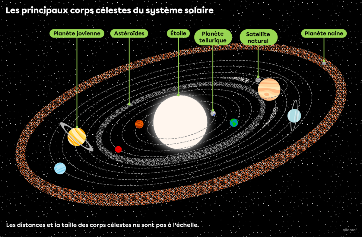Le système solaire comprend les corps célestes suivants : une étoile, des planètes telluriques (ou rocheuses), des planètes joviennes (ou gazeuses), des satellites naturels ainsi que d’autres corps célestes (planètes naines, astéroïdes, etc.).