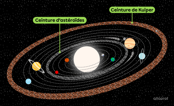 Le système solaire comprend deux ceintures. La ceinture d’astéroïdes se trouve entre Mars et Jupiter. La ceinture de Kuiper se trouve après Neptune.