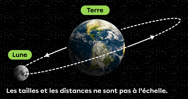 La Lune est en orbite autour de la Terre.