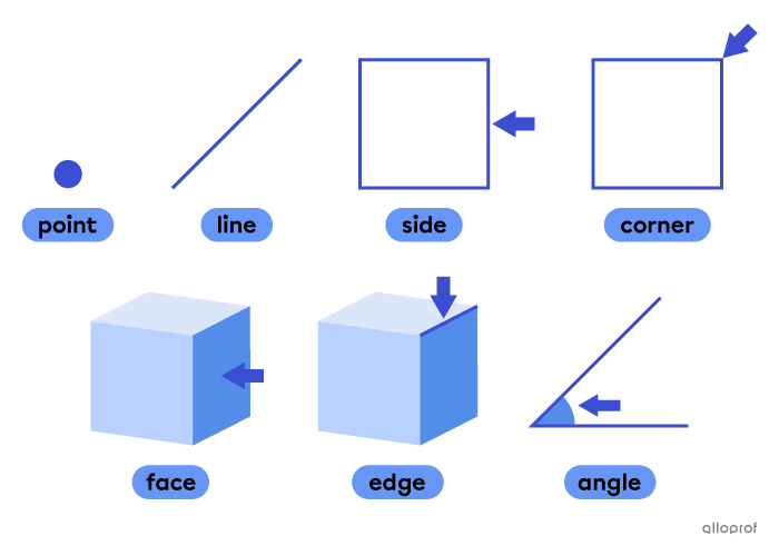 Geometric figure features.