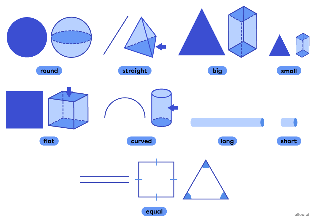 Geometric figure description vocabulary.