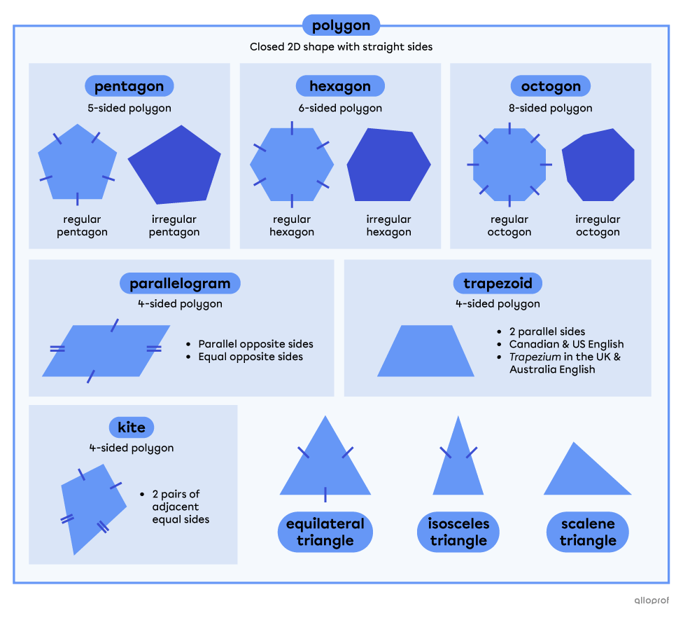 Plane figure advanced features vocabulary.
