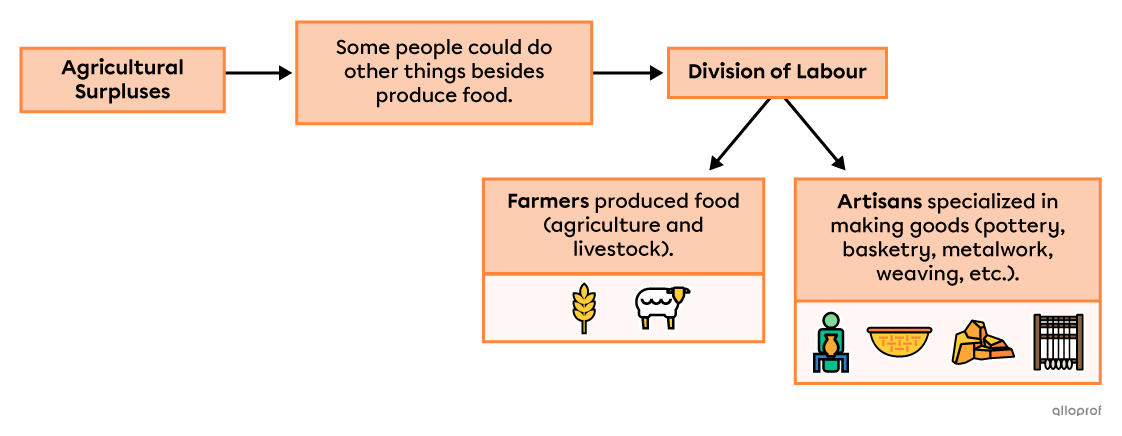 Diagram of the division of labour that resulted from new agricultural surpluses.