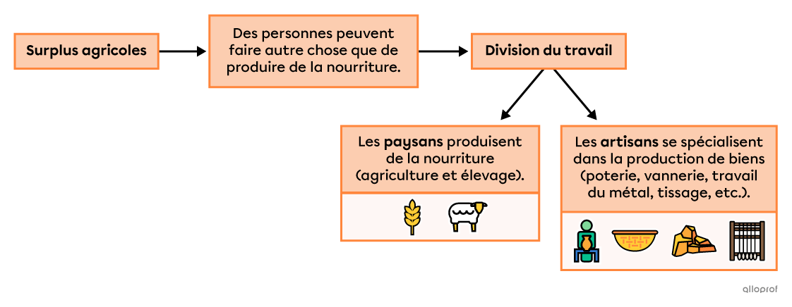 Schéma de la division du travail entraînée par les surplus agricoles.