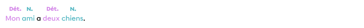 Exemple de phrase dont les déterminants sont placés avant le nom.