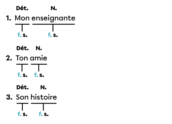 Exemples de noms avec les déterminants ma, ta et sa.
