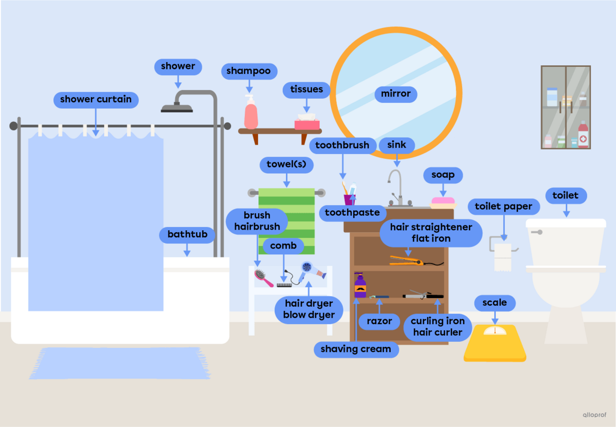 Bathroom objects, such as a bathtub, a mirror and a hairbrush.