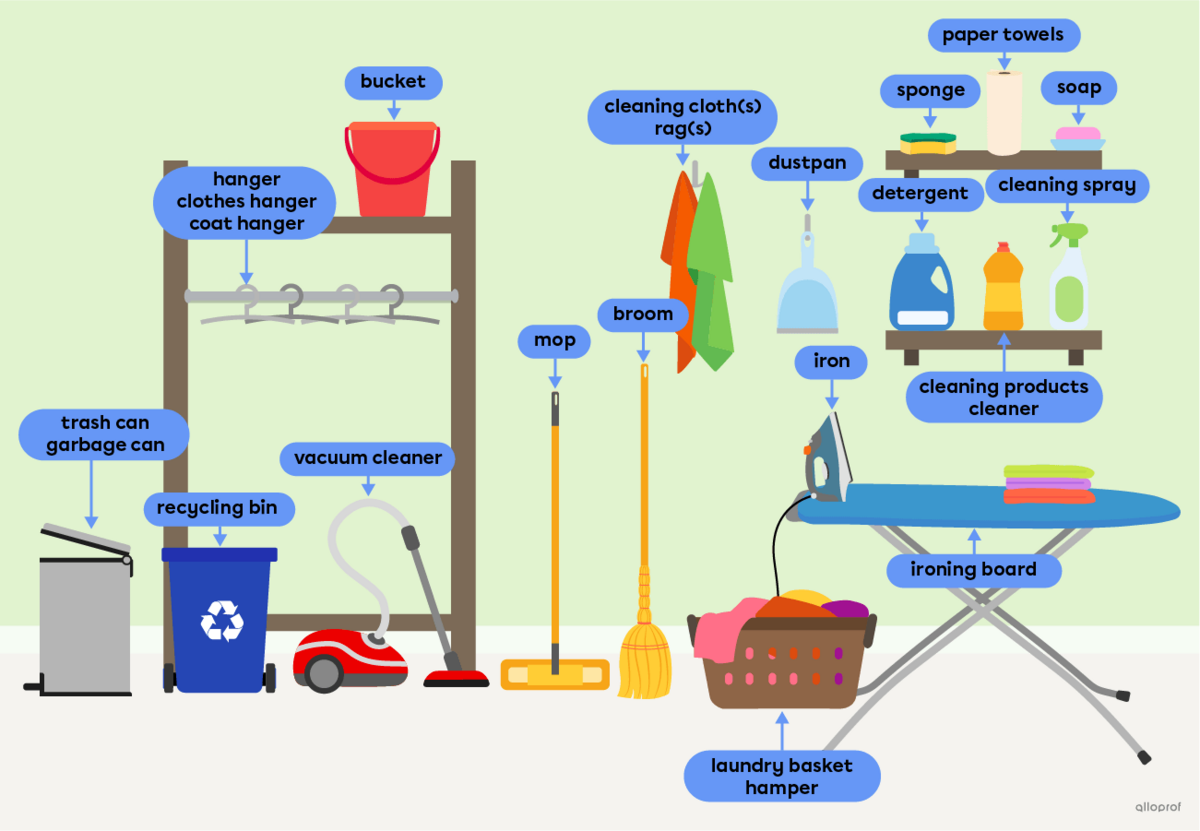 Cleaning supplies, such as detergent, paper towels and a vacuum cleaner.